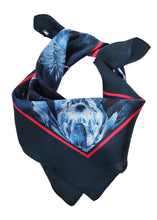 Load image into Gallery viewer, THOMAS COOK SILK PRINT SCARF