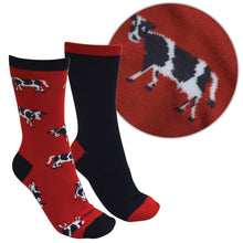 Load image into Gallery viewer, THOMAS COOK FARMYARD SOCKS- TWIN PACK