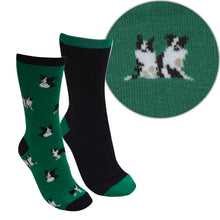 Load image into Gallery viewer, THOMAS COOK FARMYARD SOCKS- TWIN PACK