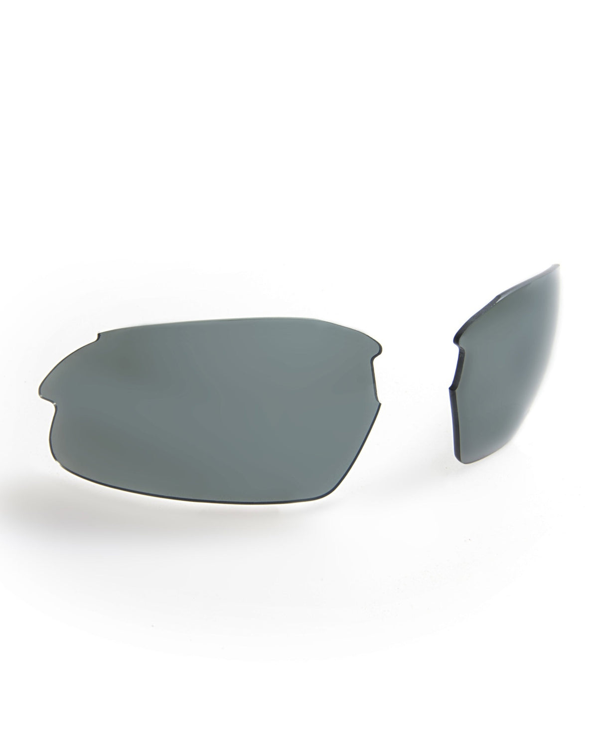 Gidgee Sunglasses Cleancut