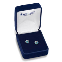 Load image into Gallery viewer, Montana Silversmiths Crowned Glacier Earrings