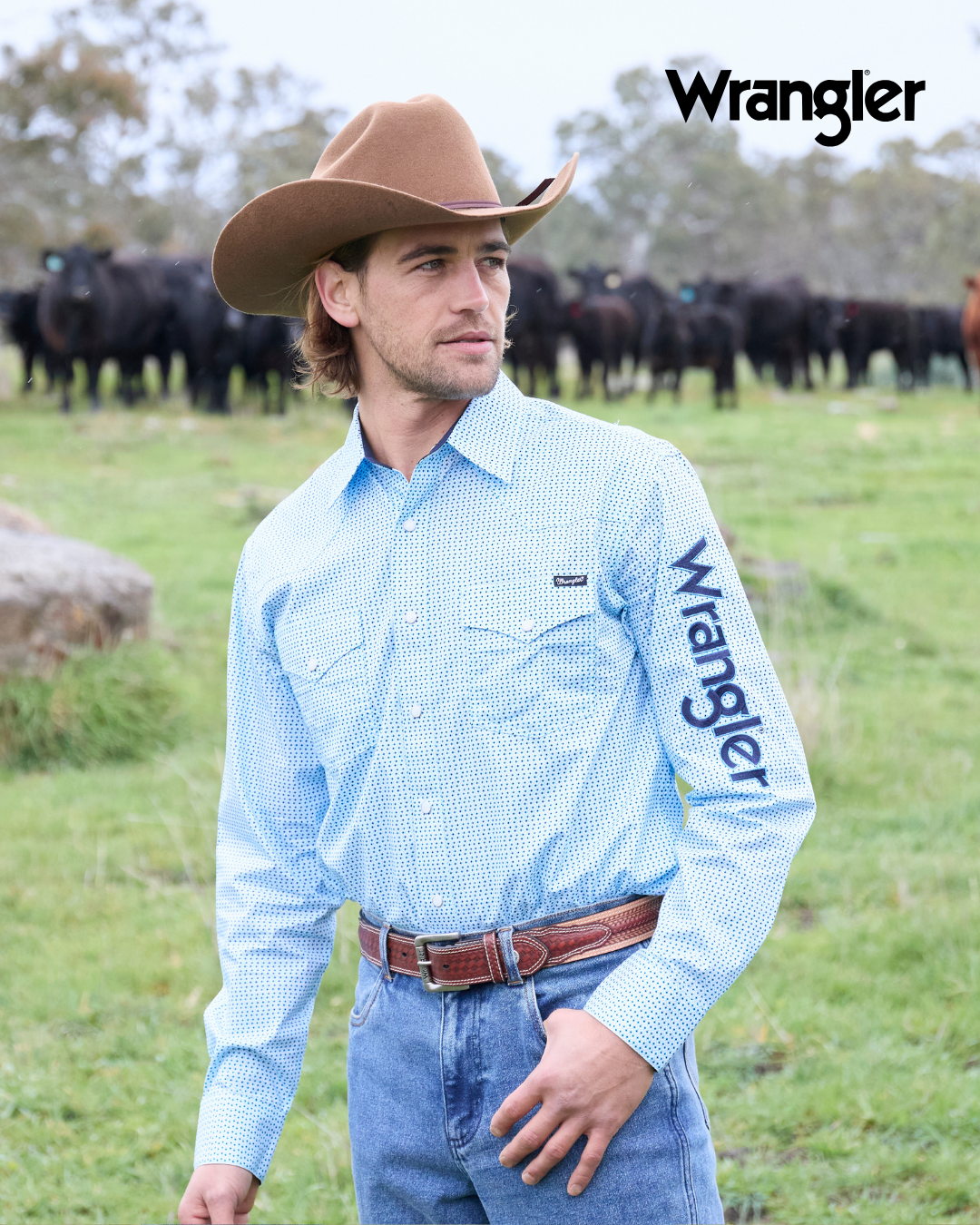 Wrangler Kayson Belt