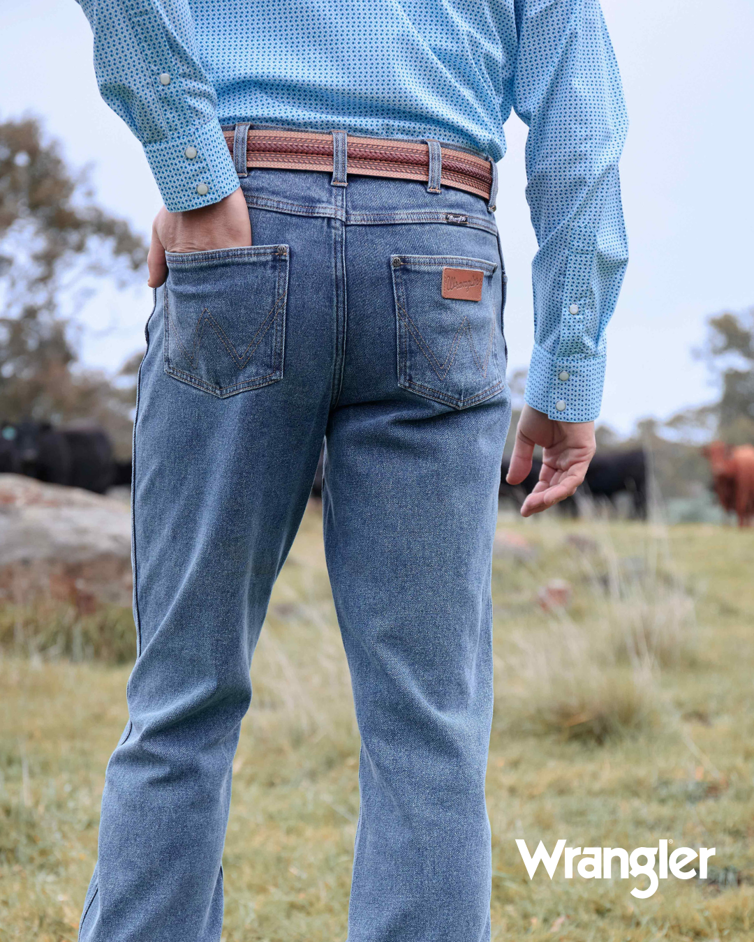 Wrangler Kayson Belt