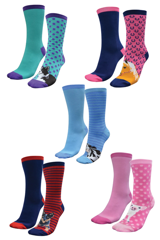 THOMAS COOK KIDS HOMESTEAD SOCKS- TWIN PACK