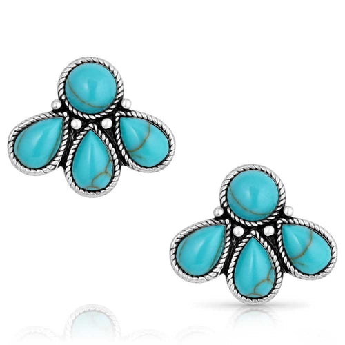 Montana Silversmiths Nature's Wonder Turquoise Earrings