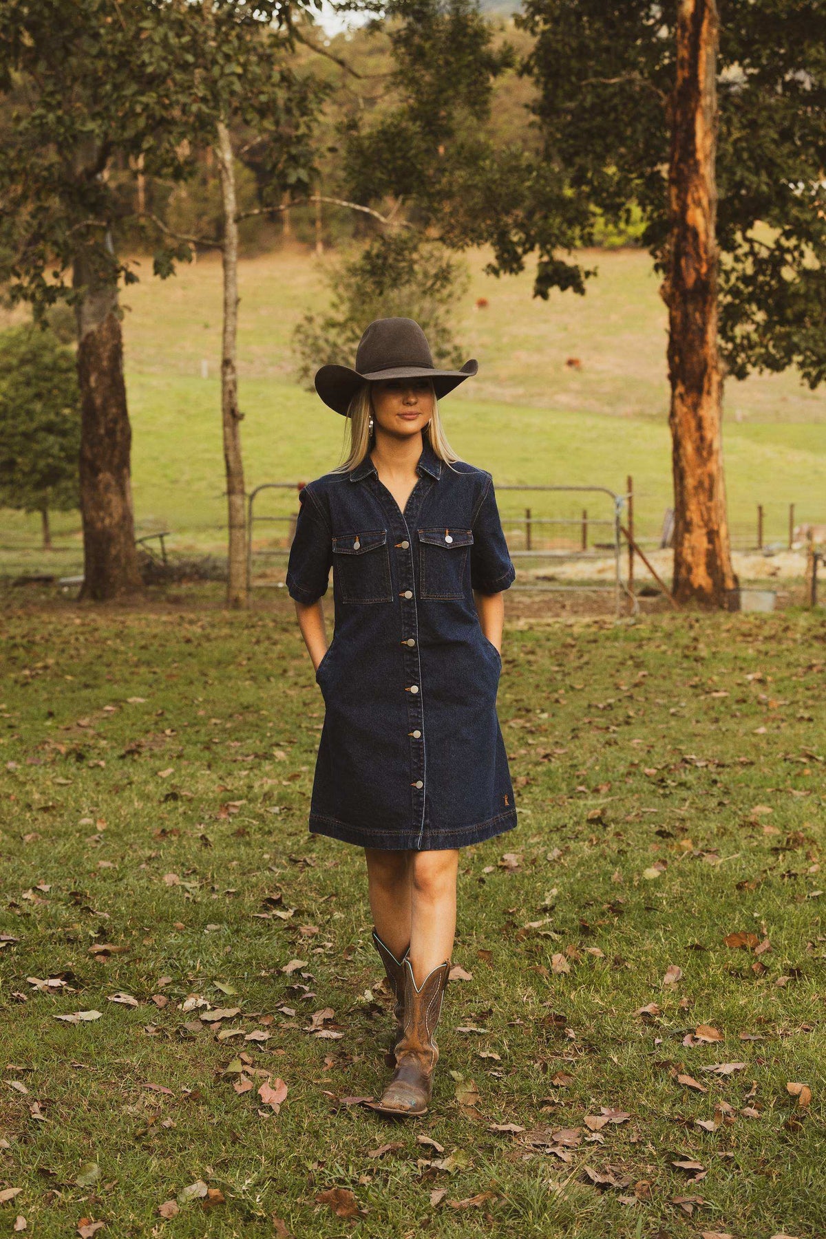 Pilbara Womens Josie Short Sleeve Denim Dress