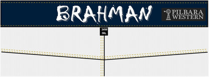 Pilbara Mens Western Brahman Jeans 34 Inch Leg