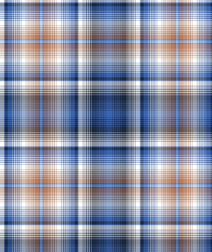 Ariat Mens Pro Series Sylvan Fitted Long Sleeve Shirt