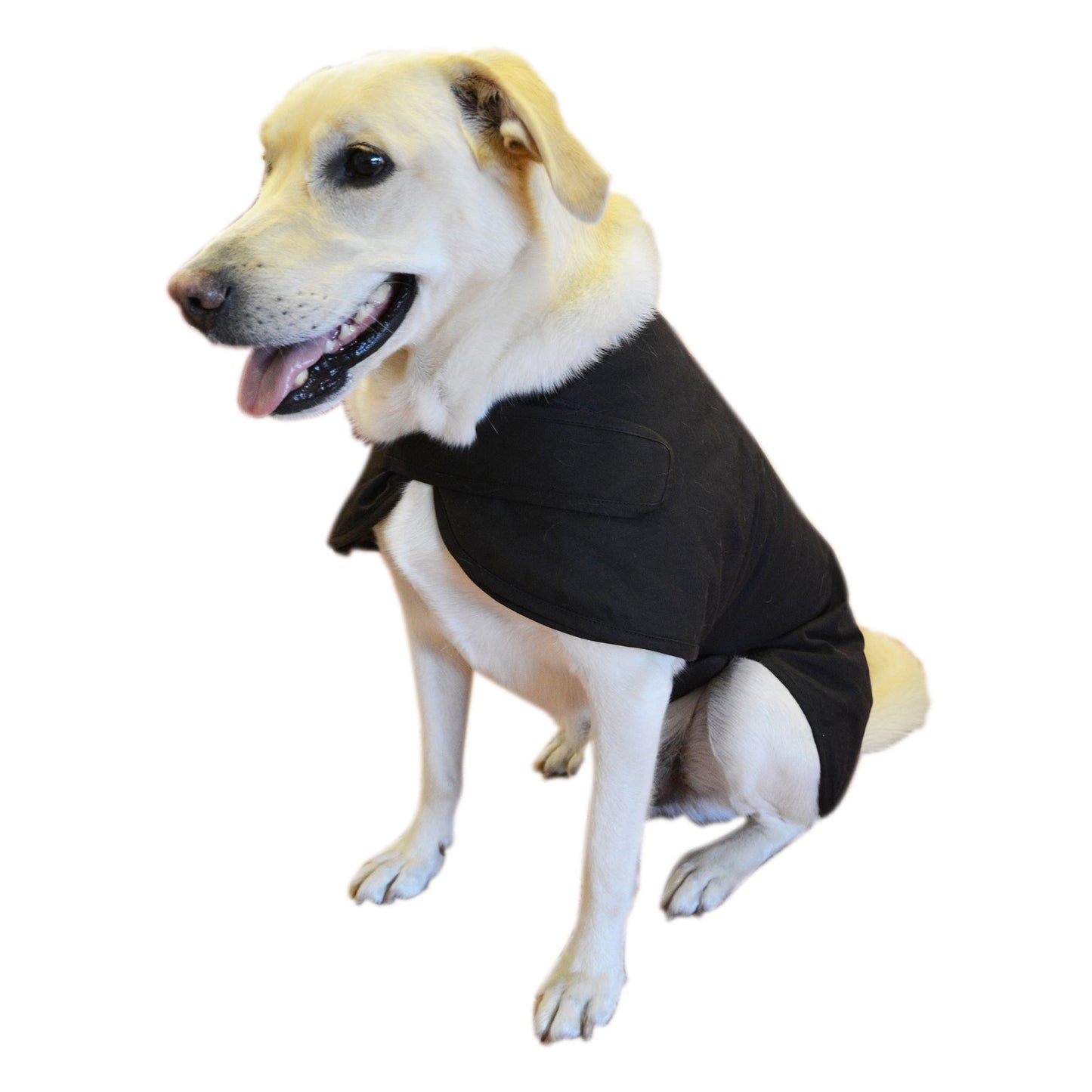 THOMAS COOK HIGH COUNTRY 2 in 1 OILSKIN DOG JACKET