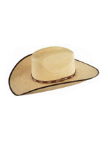 Load image into Gallery viewer, WRANGLER PALMAR HAT