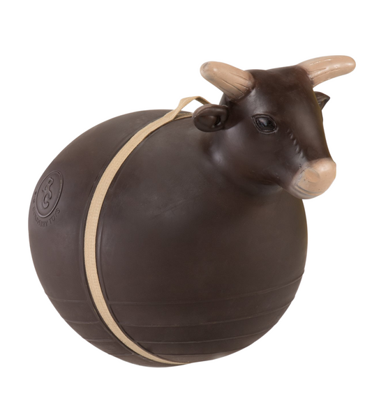 Big Country Toys - Bouncy Bull Ages 4-9