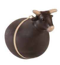 Load image into Gallery viewer, BIG COUNTRY TOYS - BOUNCY BULL AGES 4-9